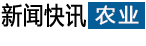 頻道首頁